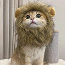 New Cute Funny Pets Clothes Cap Cute Cat Wig Lion Mane Costume Cosplay Kitten Dog Hat with Ears Fancy Party Supplies