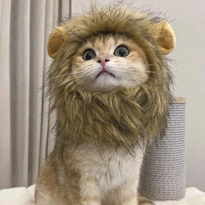 New Cute Funny Pets Clothes Cap Cute Cat Wig Lion Mane Costume Cosplay Kitten Dog Hat with Ears Fancy Party Supplies