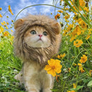 New Cute Funny Pets Clothes Cap Cute Cat Wig Lion Mane Costume Cosplay Kitten Dog Hat with Ears Fancy Party Supplies